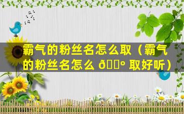 霸气的粉丝名怎么取（霸气的粉丝名怎么 🐺 取好听）